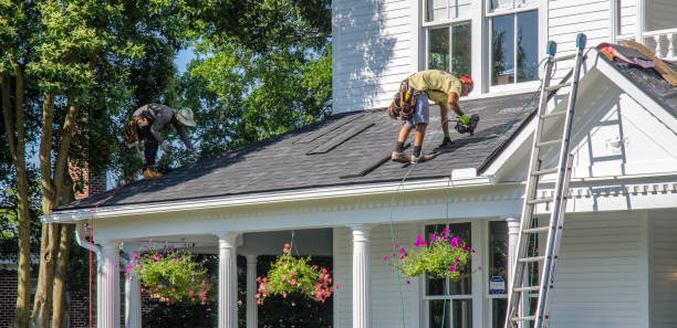 Roof Gutter Cleaning in Dorothy, NJ